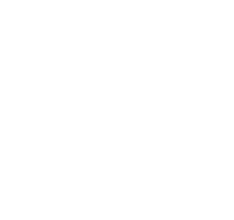 Accordeon Alttag Bild