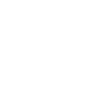 Accordeon Alttag Bild